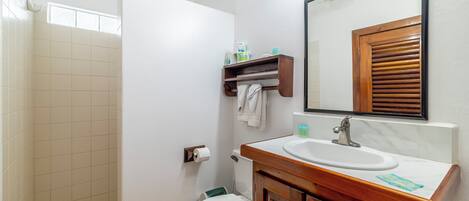 A bathroom with a shower, toilet, sink, and mirror.