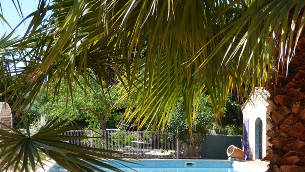 A swimming pool surrounded by palm trees and a stone wall.