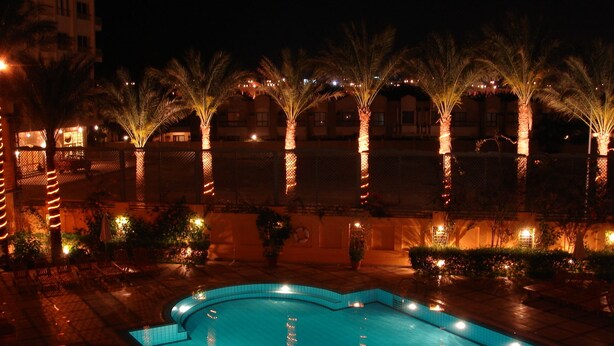 Area piscina illuminata di notte, con palme e un edificio sullo sfondo.