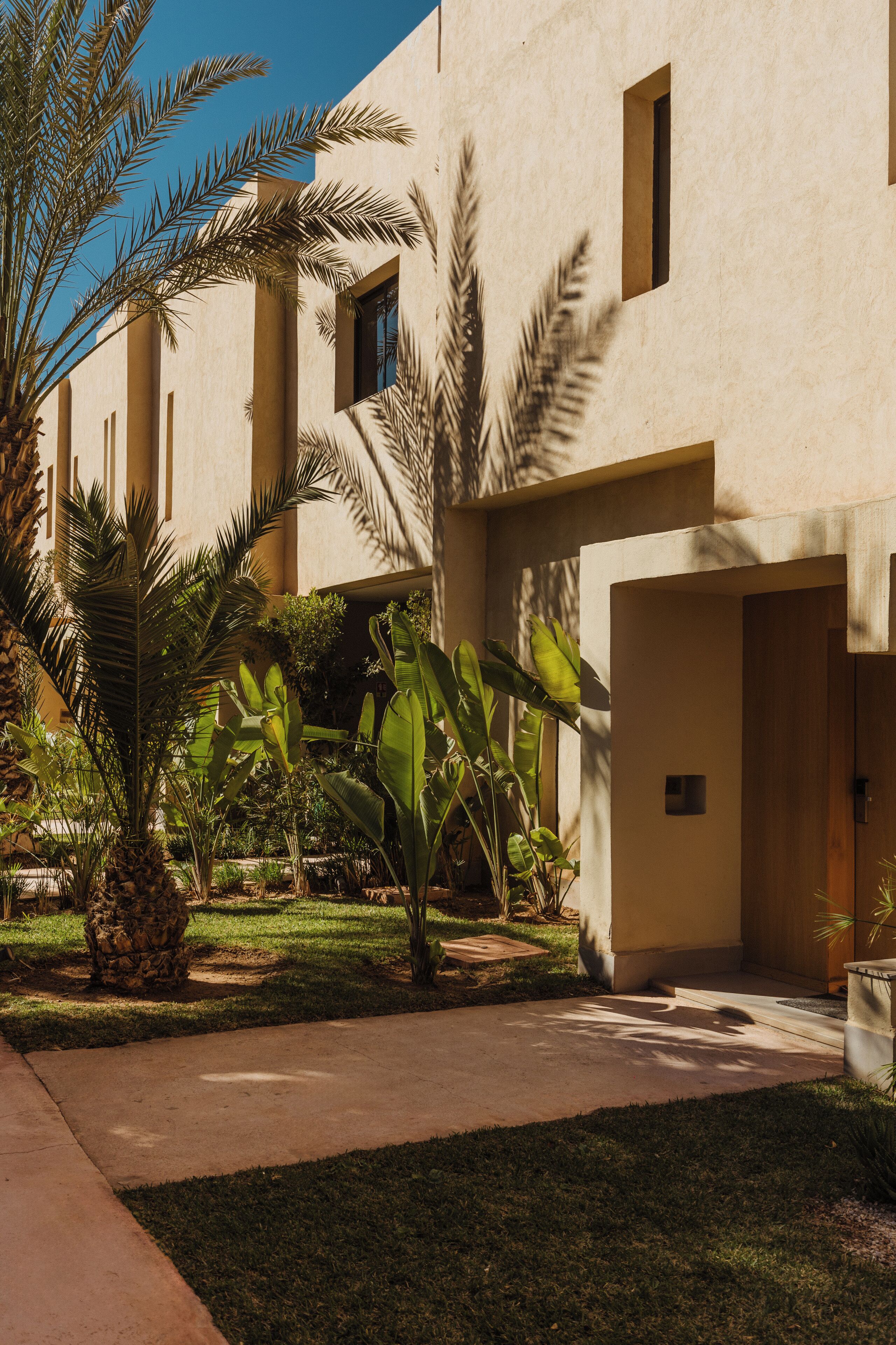 A courtyard with palm trees and a building with a beige facade and rectangular windows.