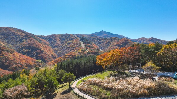 Un paysage montagneux avec une route sinueuse et un espace aménagé avec des bancs pour les visiteurs.