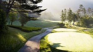Un campo de golf con un camino sinuoso, abundante vegetación y una atmósfera brumosa.