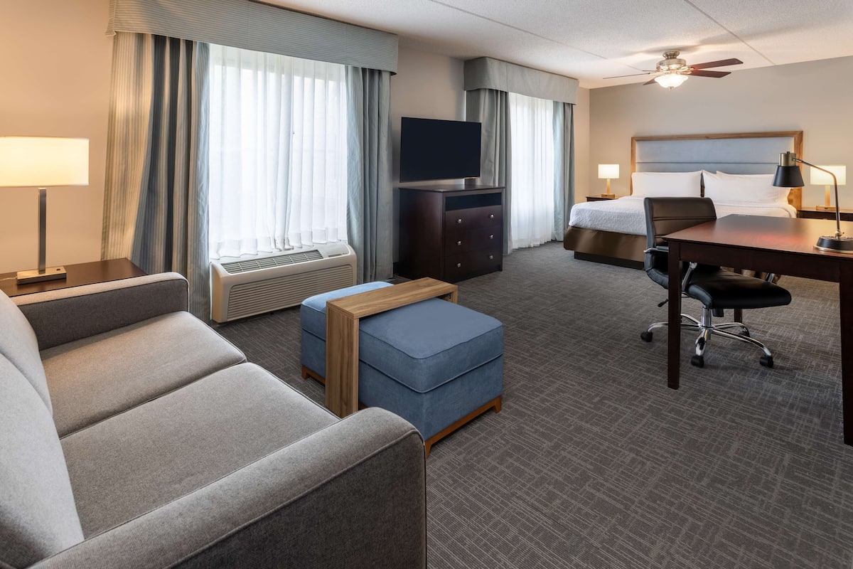 Studio Suite, 1 King Bed | Living area