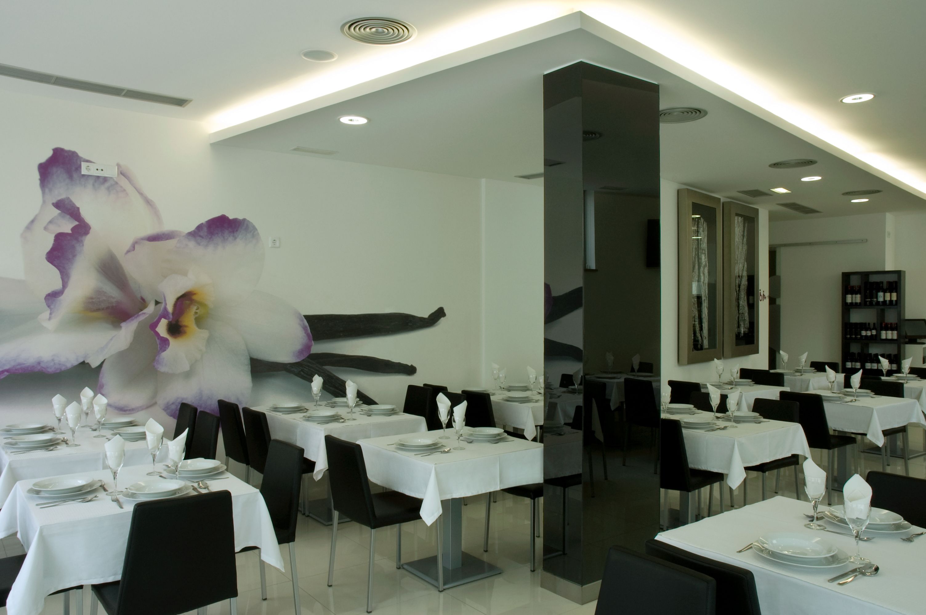 Foto - Hotel Genesis