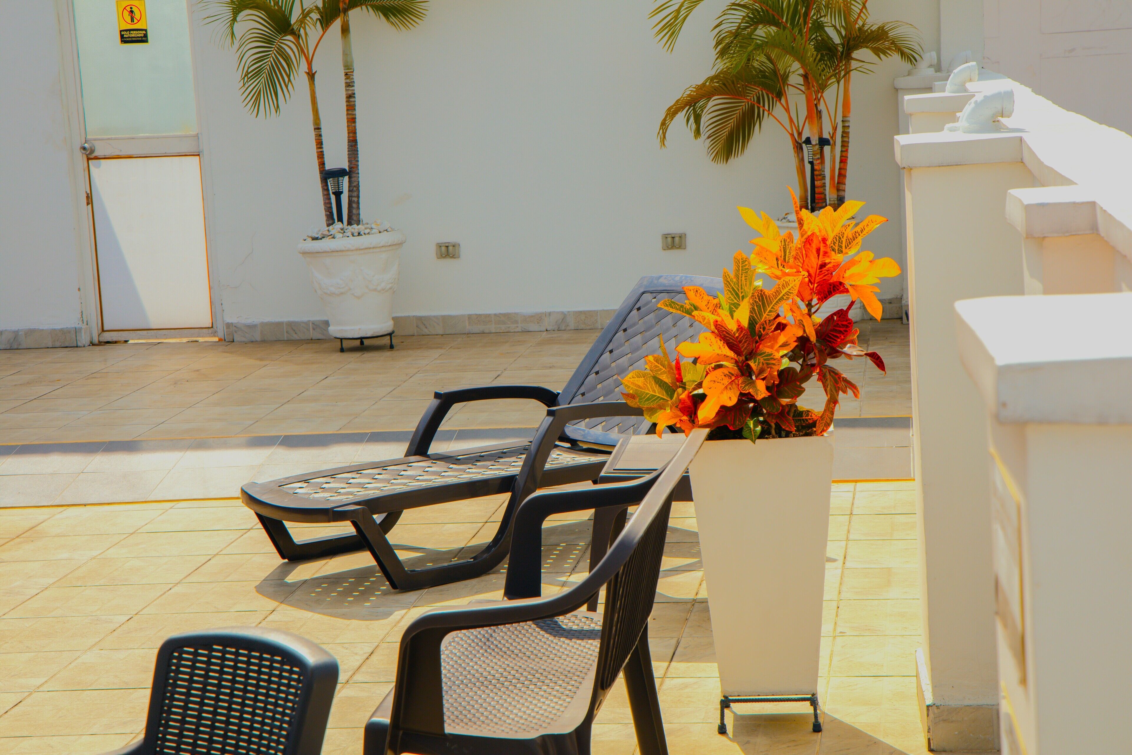 Foto - TAMA Hotel Granada Real Cali