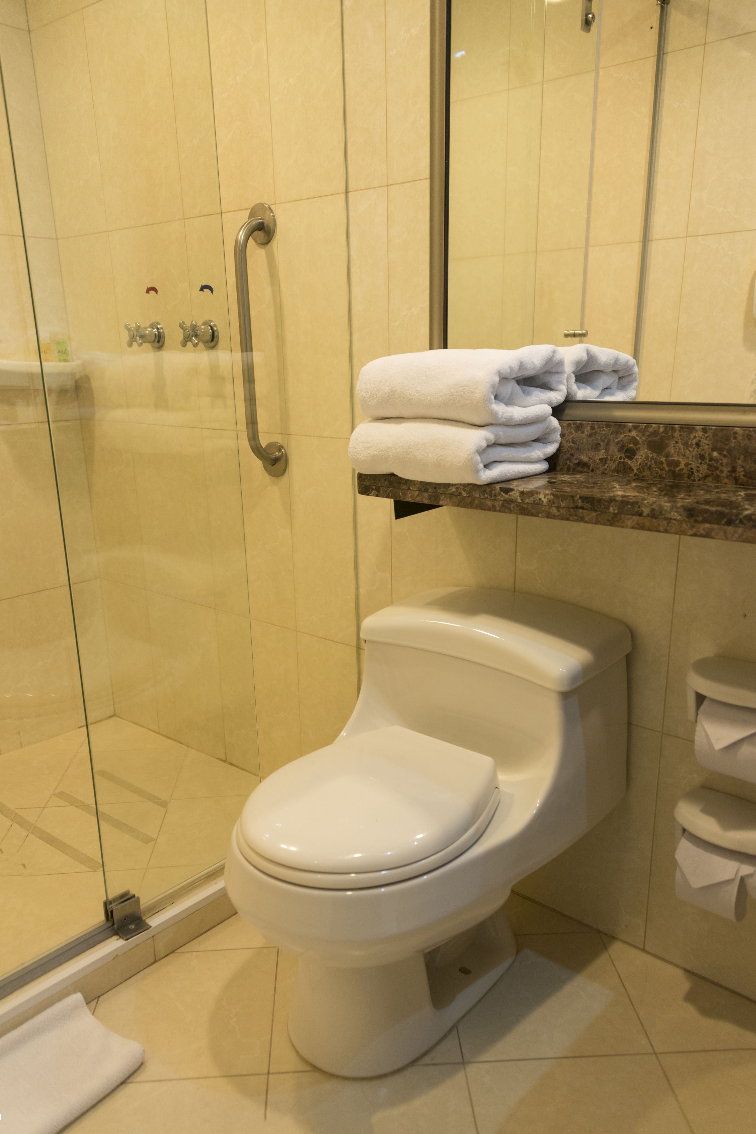 A bathroom with a toilet, a glass shower enclosure, and a towel rack with folded towels.
