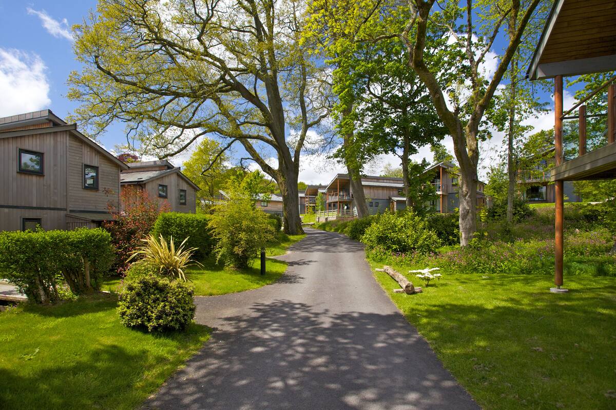 A residential street with houses on both sides, a paved driveway, and lush greenery.