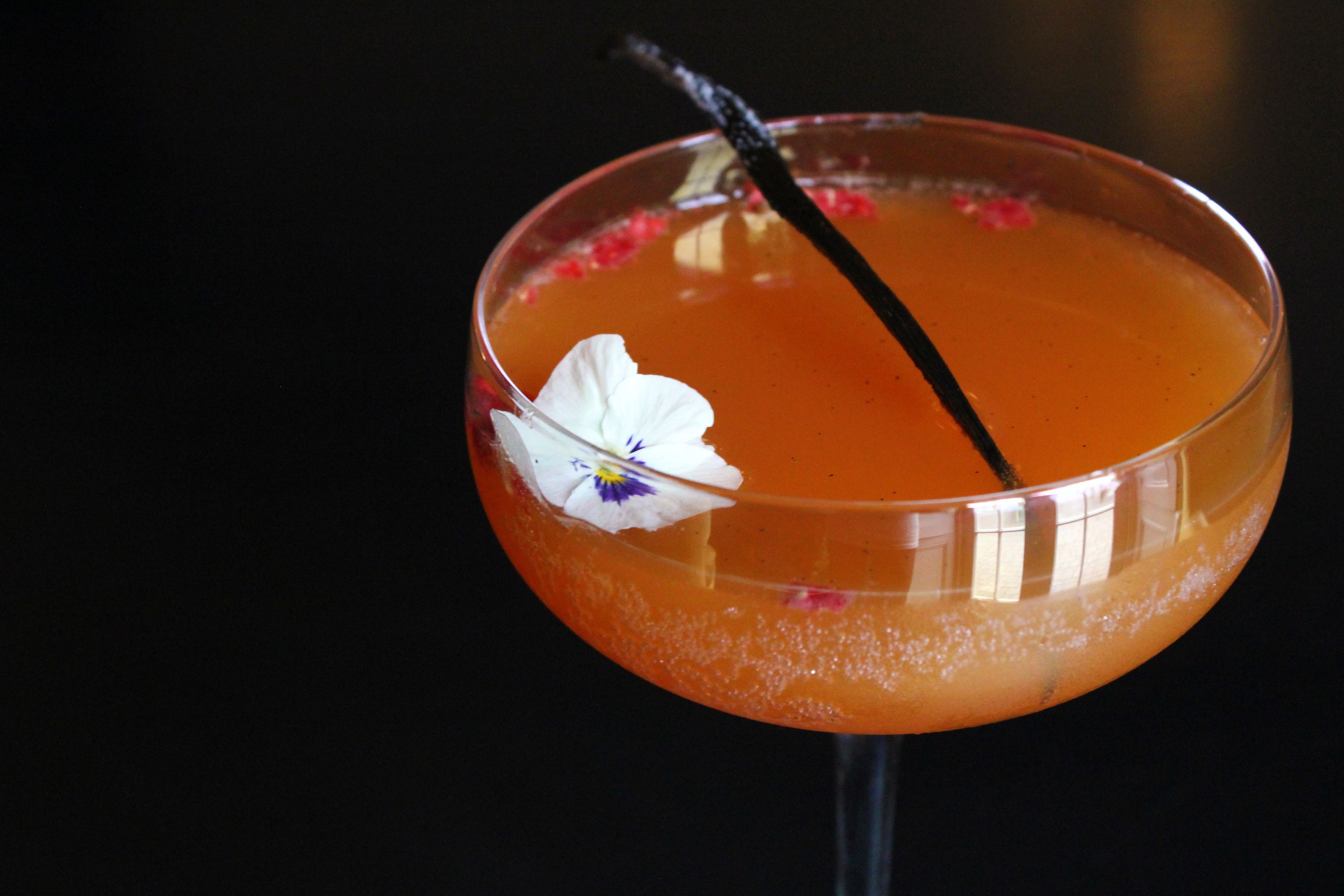 A cocktail in a glass with a flower garnish.