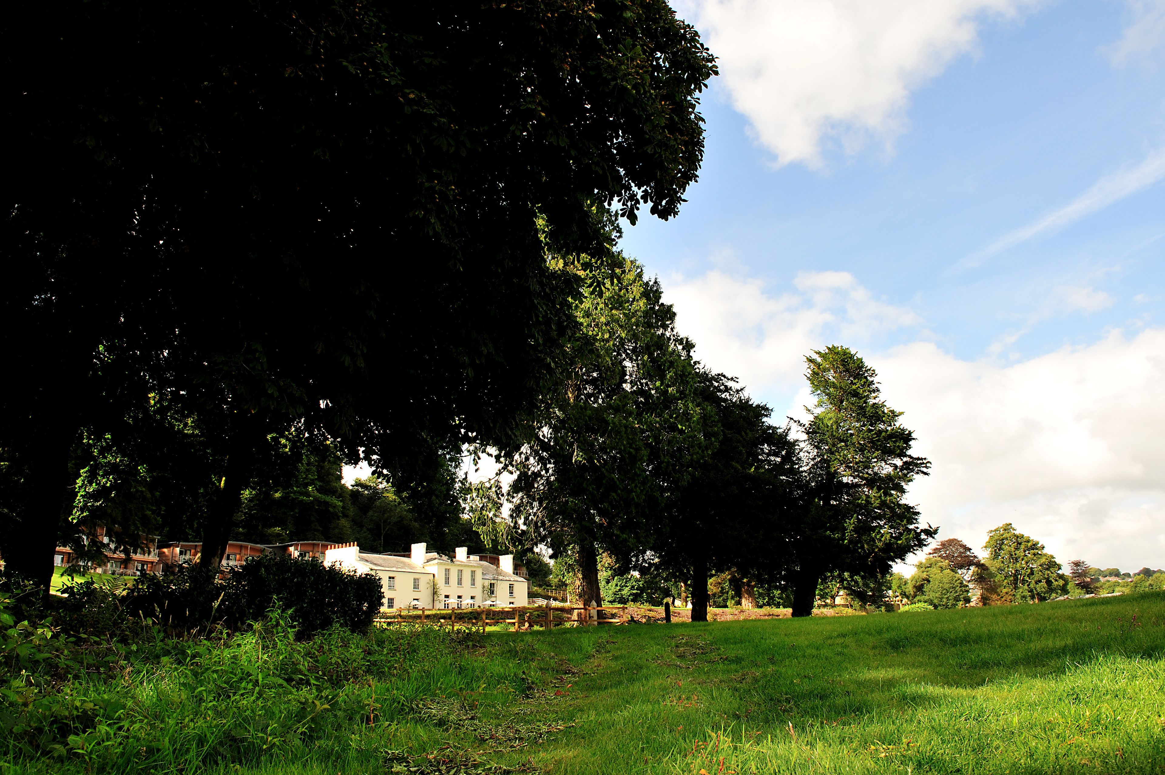 A large tree in the foreground, a grassy field, and a building with multiple windows in the background.