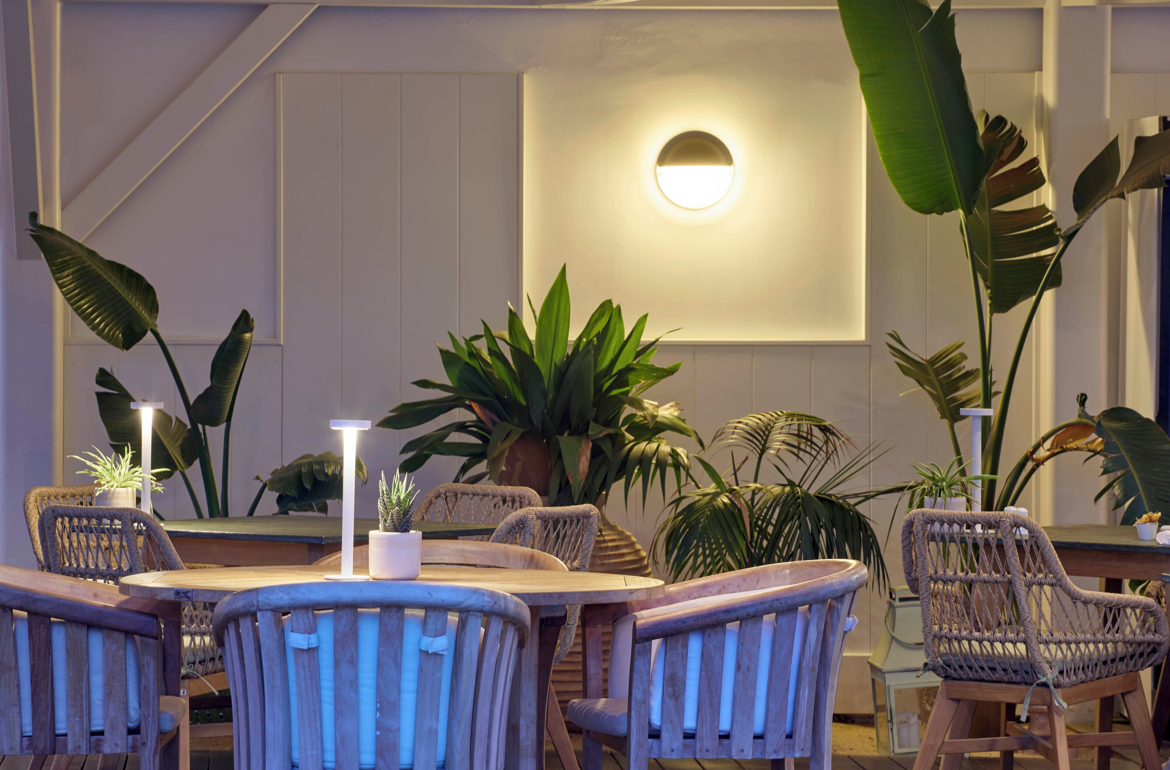 Un comedor con una mesa redonda, sillas de mimbre y plantas en macetas.