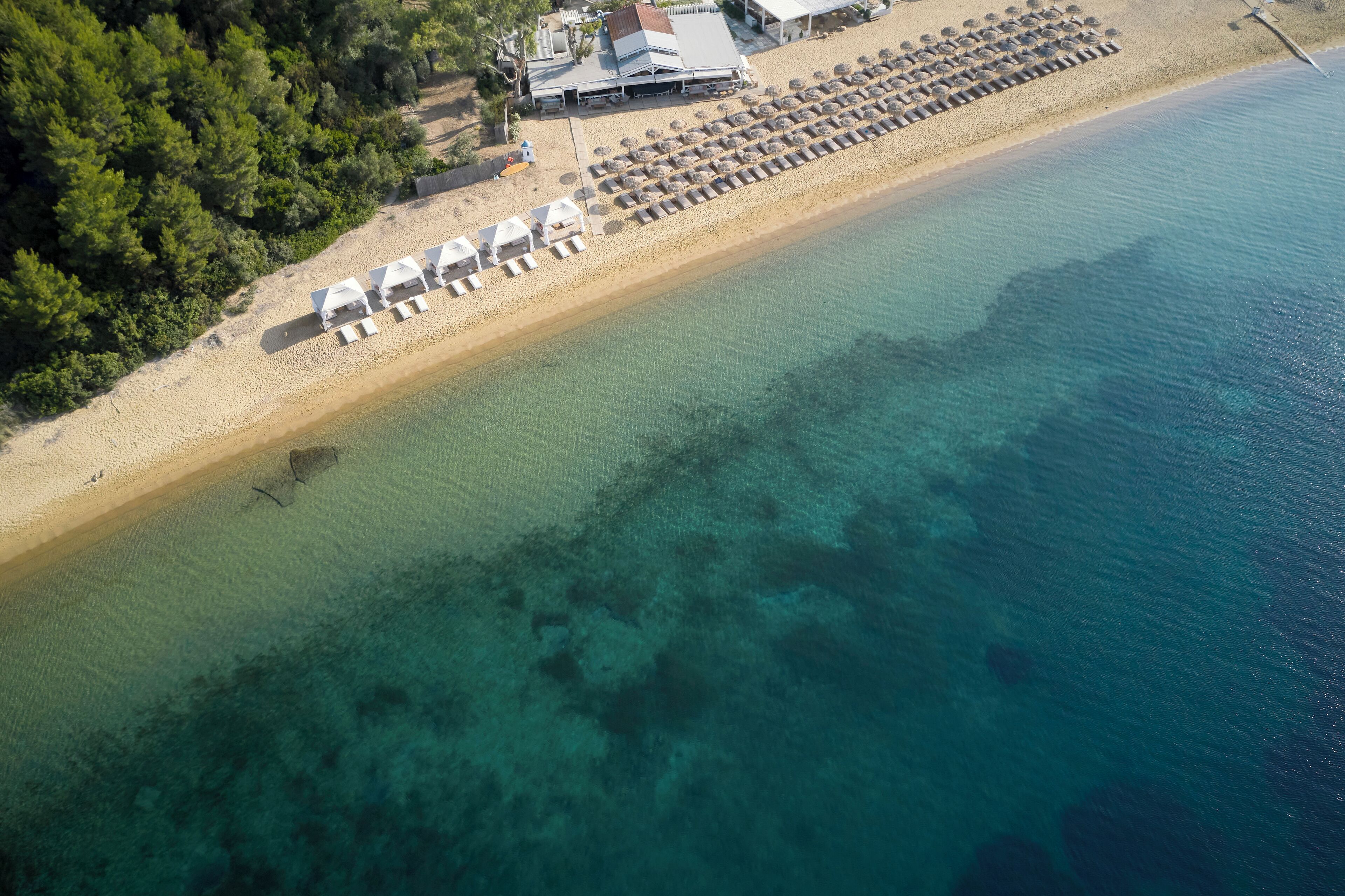 An aerial view of a beach with rows of sun loungers and umbrellas, a building with a sloped roof, and dense greenery.