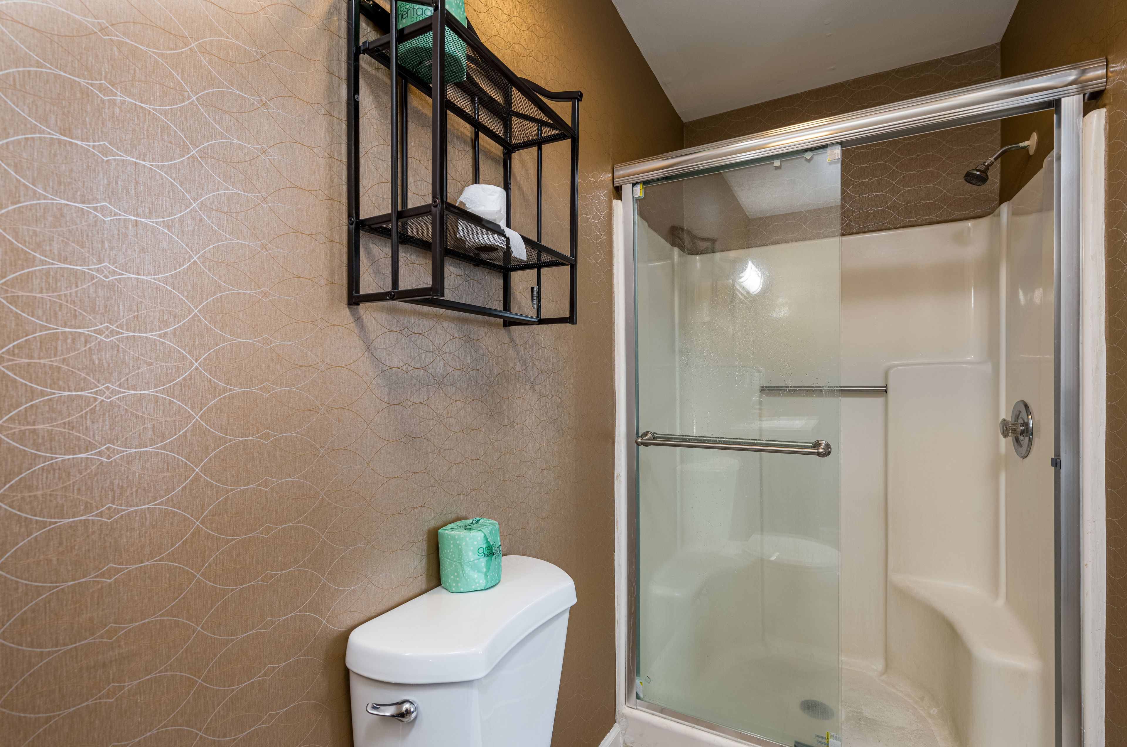 A bathroom with a glass-enclosed shower, a toilet, and a towel rack with a green towel.