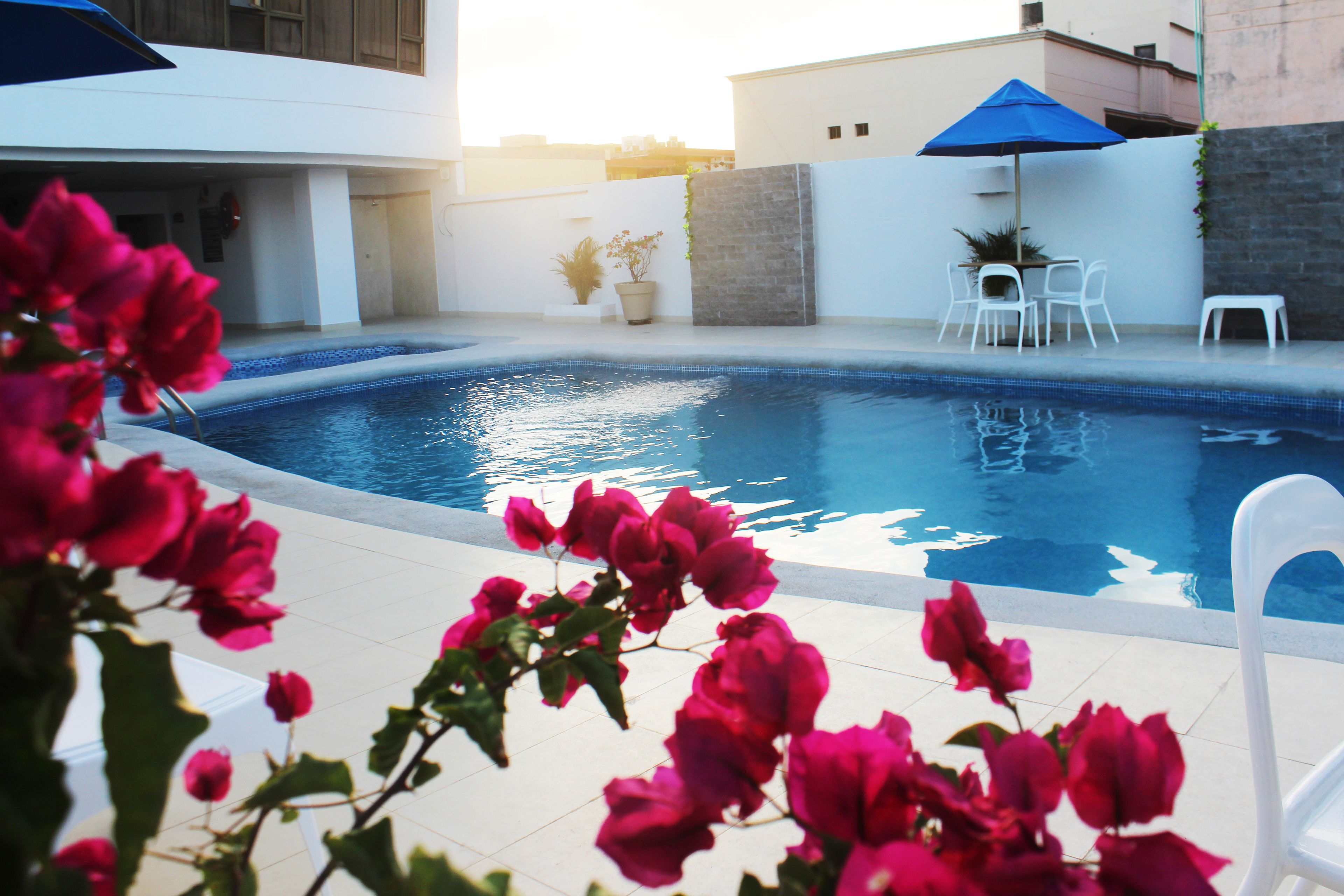 Outdoor pool, sun loungers