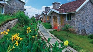 A row of stone houses with a stone pathway leading through a garden with yellow flowers.