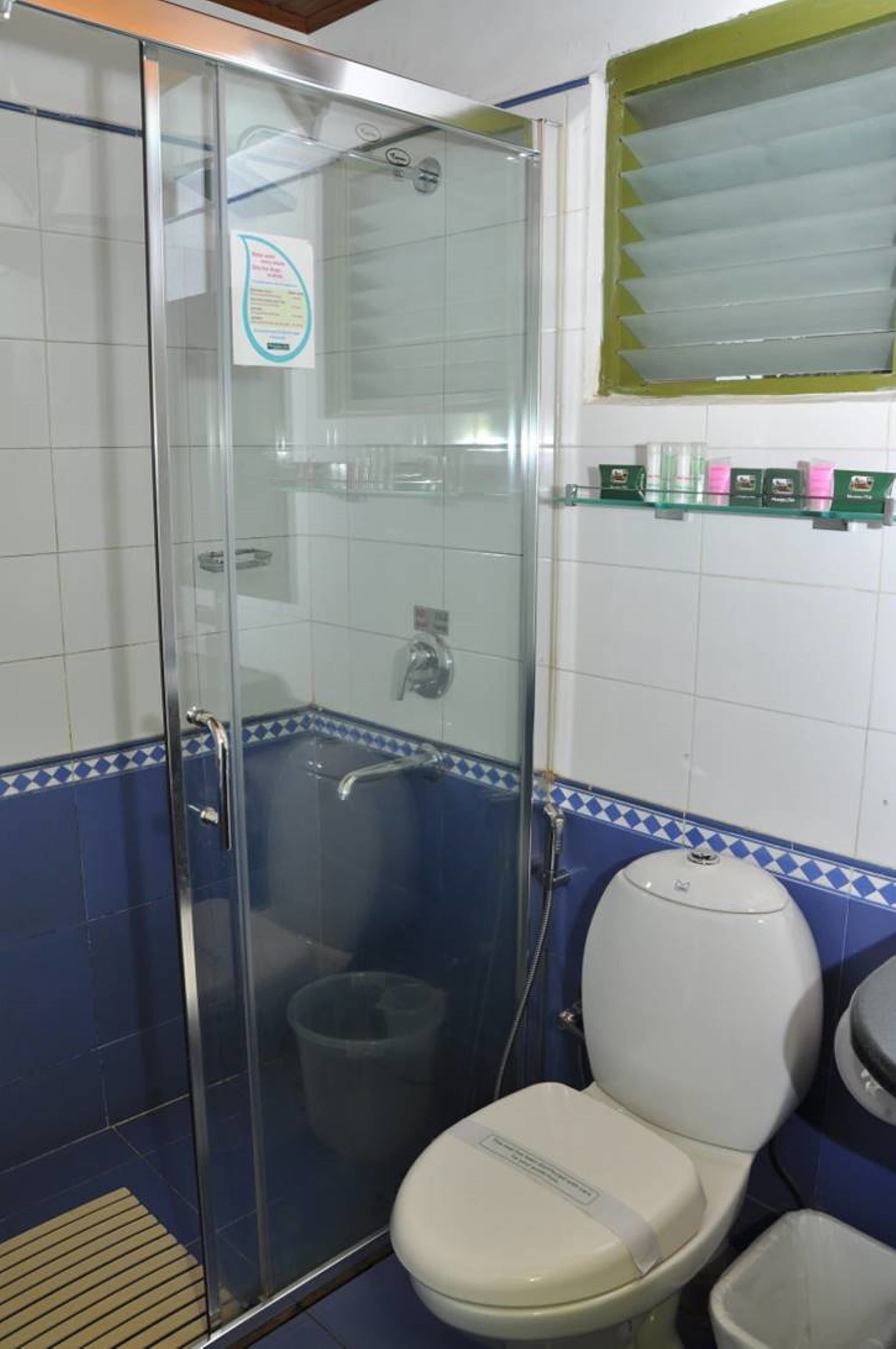 A bathroom with a glass-enclosed shower, a toilet, and a shelf with toiletries.