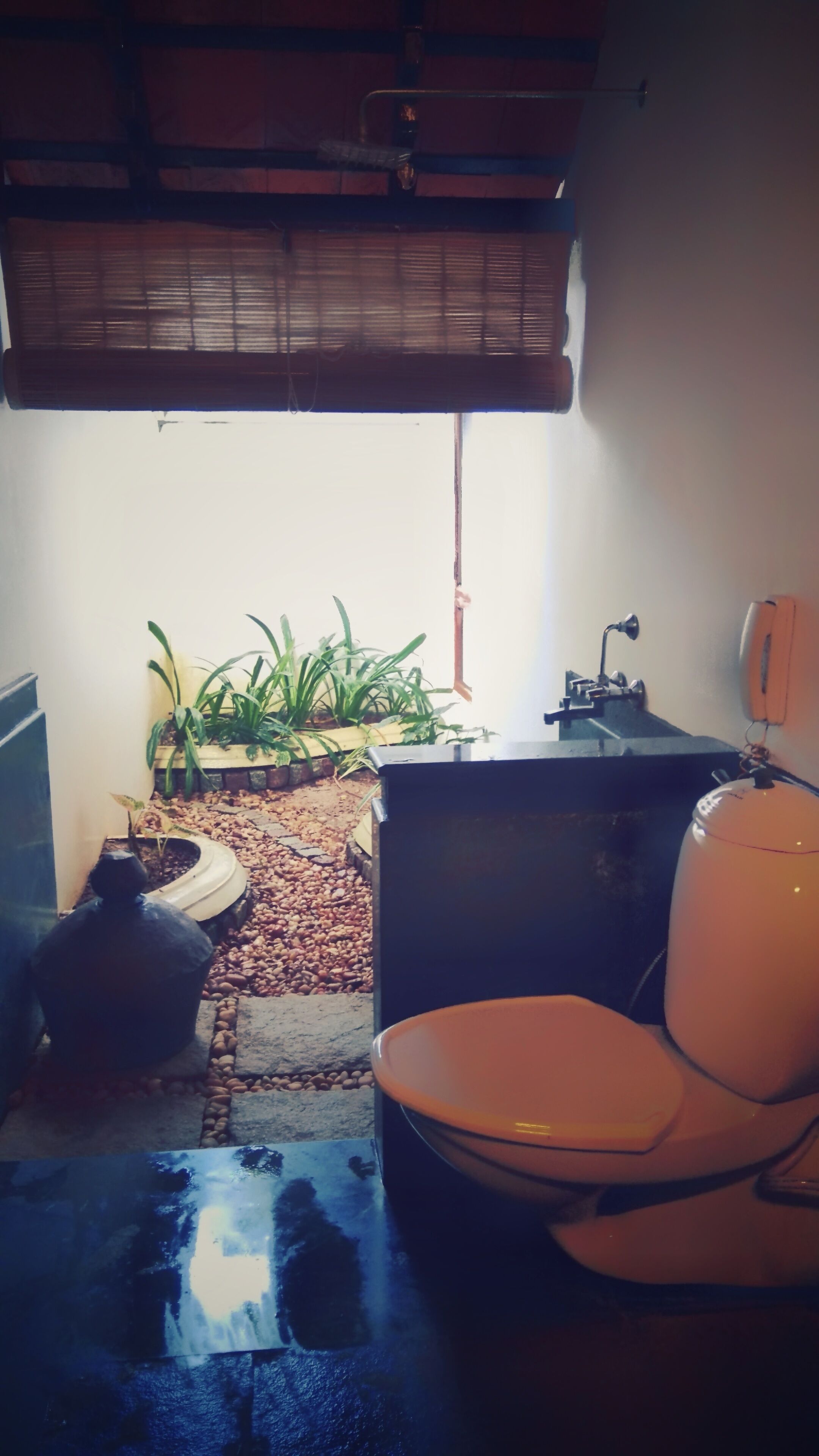 A small bathroom with a toilet, sink, and a window with blinds. There are plants and a decorative item on the floor.