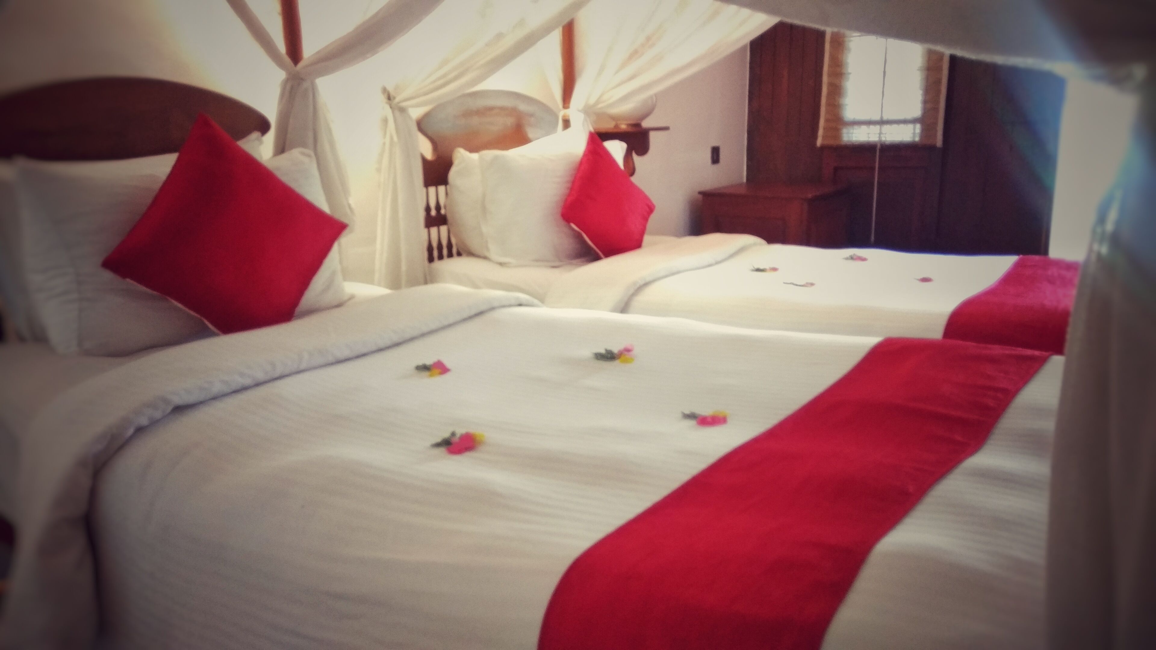 Une chambre avec deux lits, chacun étant équipé de draps blancs et d’oreillers rouges.