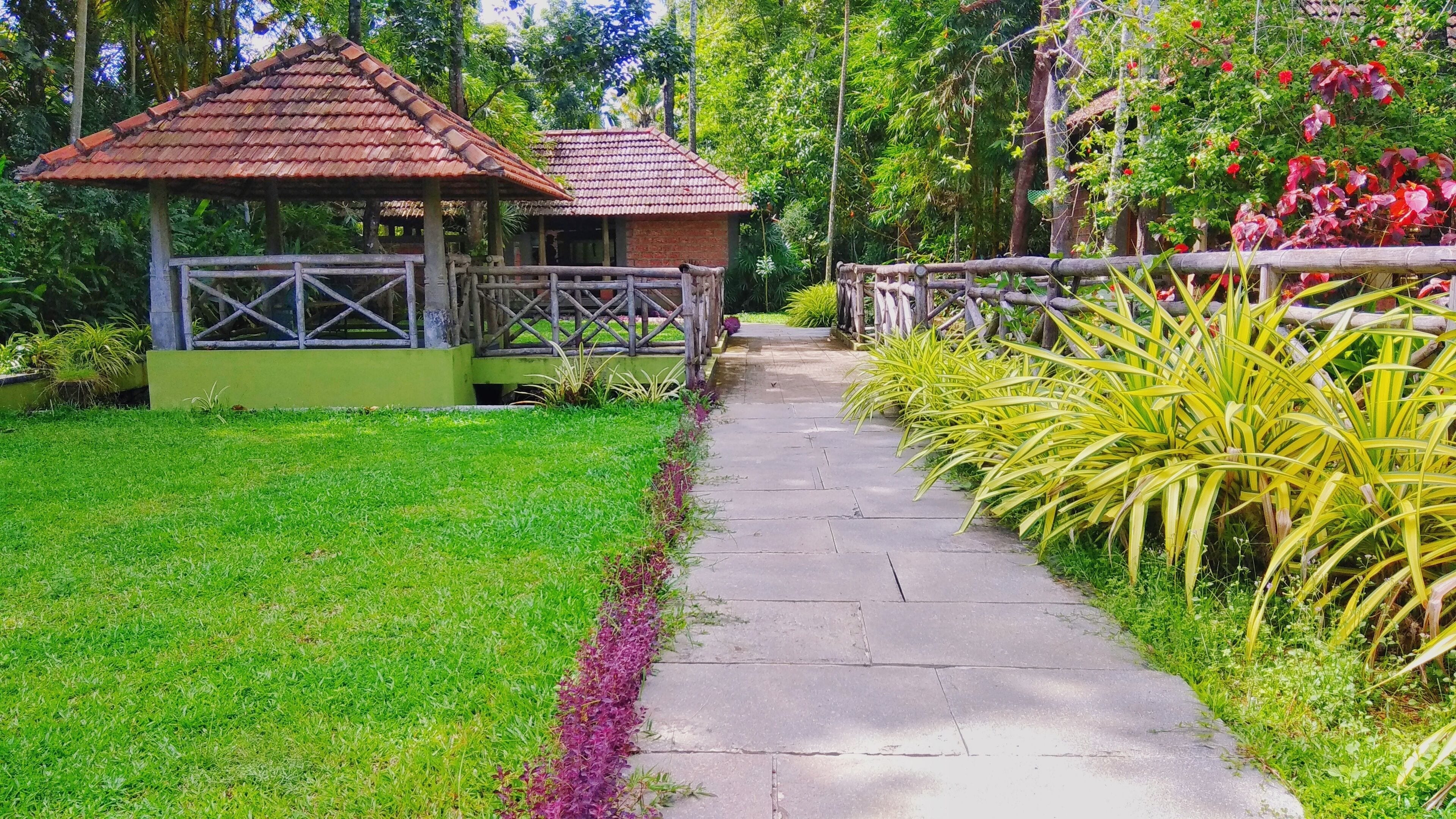 A pathway leading to a gazebo with a tiled roof, surrounded by lush greenery and flowering plants.