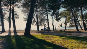 A person riding a bicycle on a path surrounded by trees. - Premium Mobile Homes - Hotel & Resort Adria Ankaran (Ankaran)