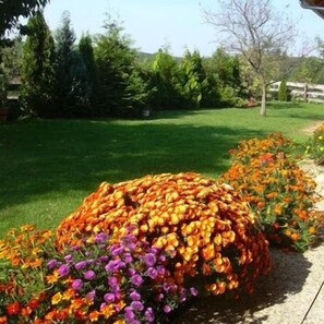 Property grounds - Margaréta Panzió (Budakeszi)