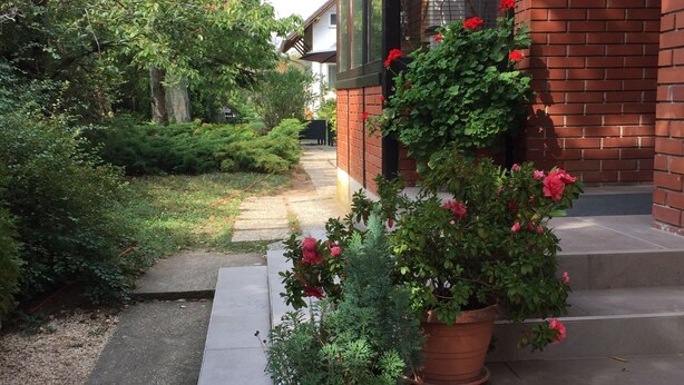 Un chemin mène à un bâtiment dont la façade est en briques et qui possède de grandes fenêtres. De part et d’autre du chemin, on trouve des plantes en pot, avec un feuillage vert et des fleurs rouges.