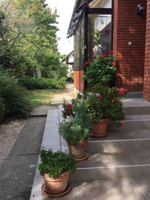 A pathway leading to a building with a brick facade and large windows. There are potted plants with green foliage and red flowers along the path. - Margaréta Panzió (Budakeszi)