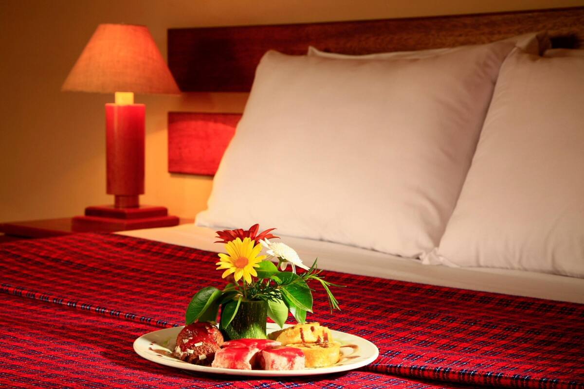 Minibar, coffre-fort, accès au Wi-Fi (inclus), literie fournie