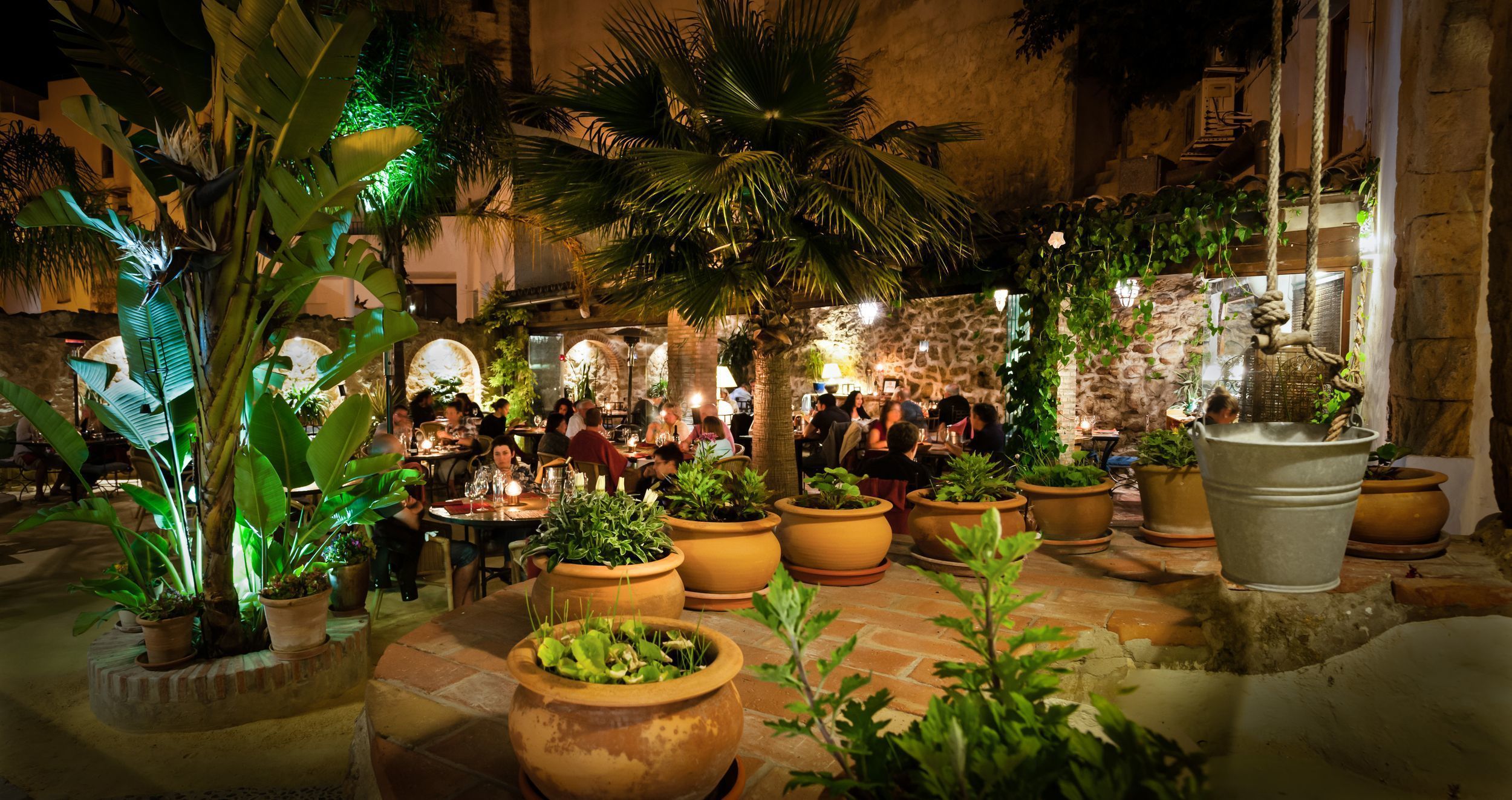 An outdoor dining area with multiple tables and chairs, surrounded by potted plants and palm trees.