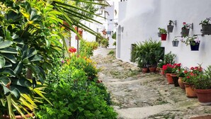A narrow cobblestone path flanked by lush greenery and potted plants. - La Casa del Califa (Vejer de la Frontera)