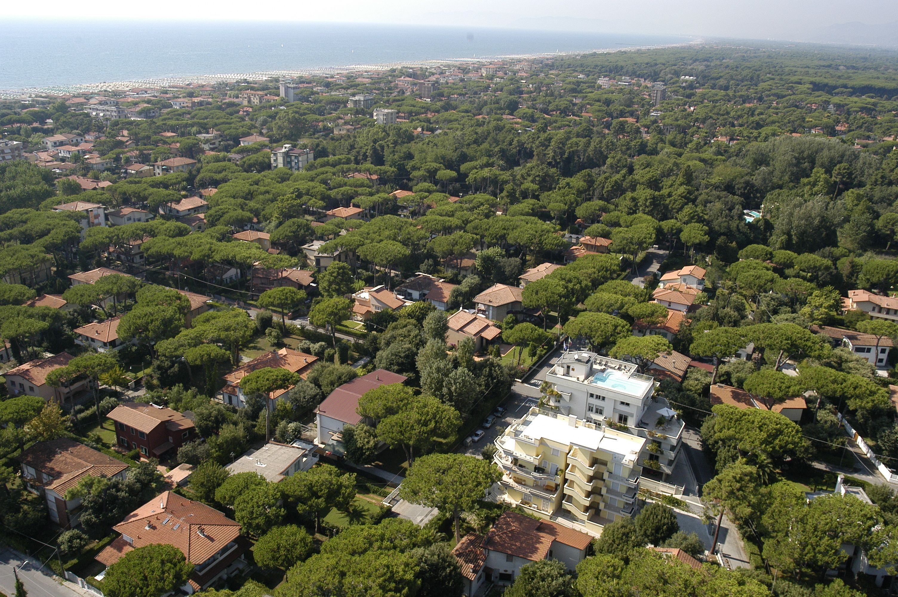 An aerial view of a residential area with houses, trees, and a beach in the background.