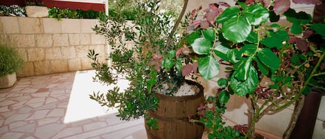 Una planta en maceta dentro de un barril de madera, un muro de piedra y un suelo con baldosas.