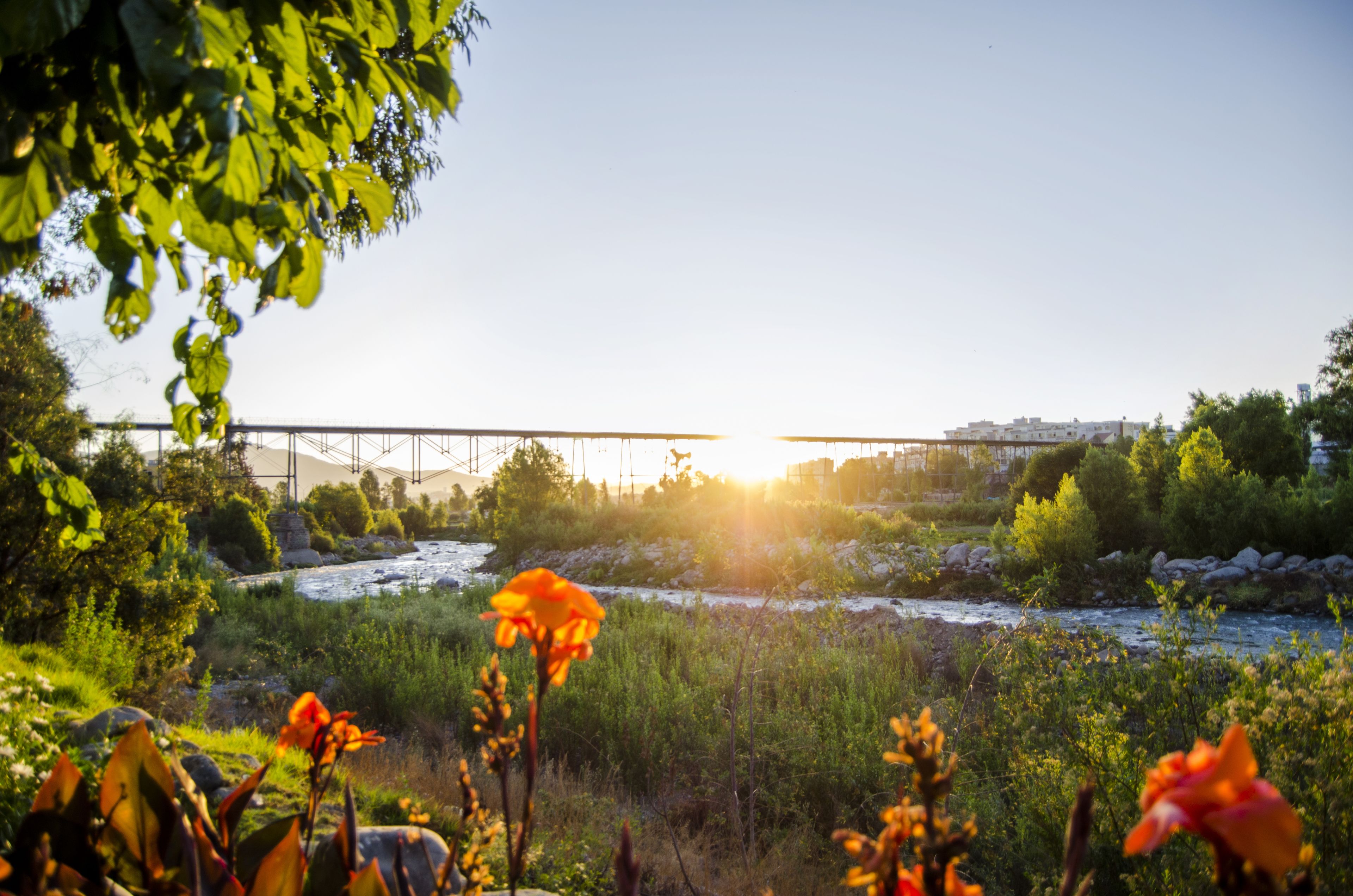 Foto - Alwa Hotel Boutique Premium