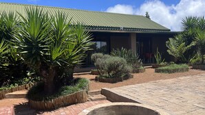 A courtyard with a fire pit, potted plants, and a building with a green roof. - Elephant's Nest Guest House (Graskop)