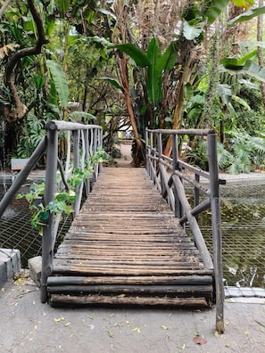 Jardín
