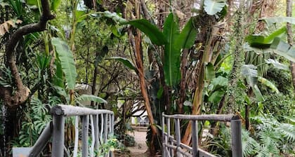 Brooklyn Guesthouses