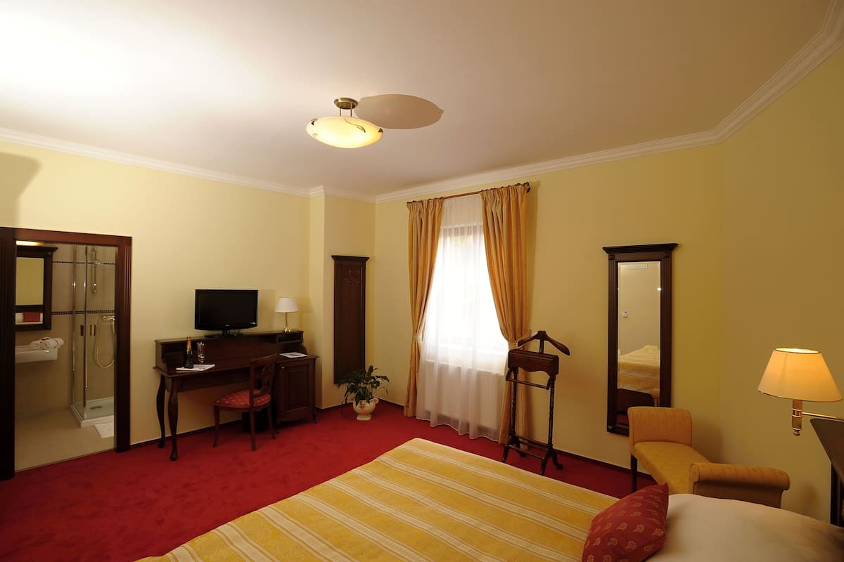 A hotel room with a bed, a desk with a computer, a chair, a TV, a mirror, and a window with curtains.