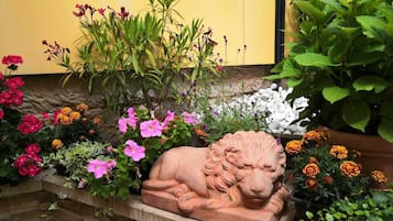 Terraço/pátio