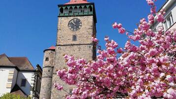 Een historische toren met een klok, omringd door bloeiende kersenbomen en een geplaveid straatje.
