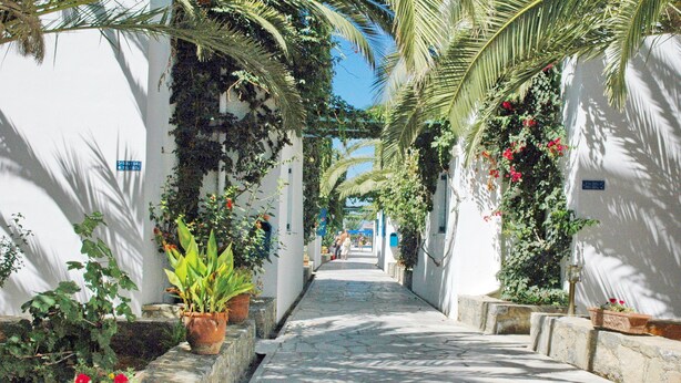 A narrow, stone-paved alleyway flanked by white buildings with lush greenery and flowering plants. - Galeana Beach Hotel (Rethymno)
