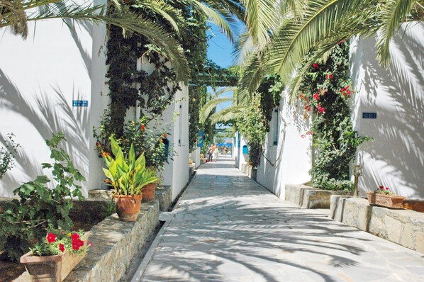 Courtyard - Galeana Beach Hotel (Rethymno)