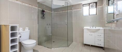 A modern bathroom with a glass-enclosed shower, a toilet, a sink, and a mirror.
