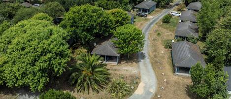 Vista aérea de una zona residencial con casas, una carretera sinuosa y abundante vegetación.