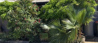 Major Mitchell Motel