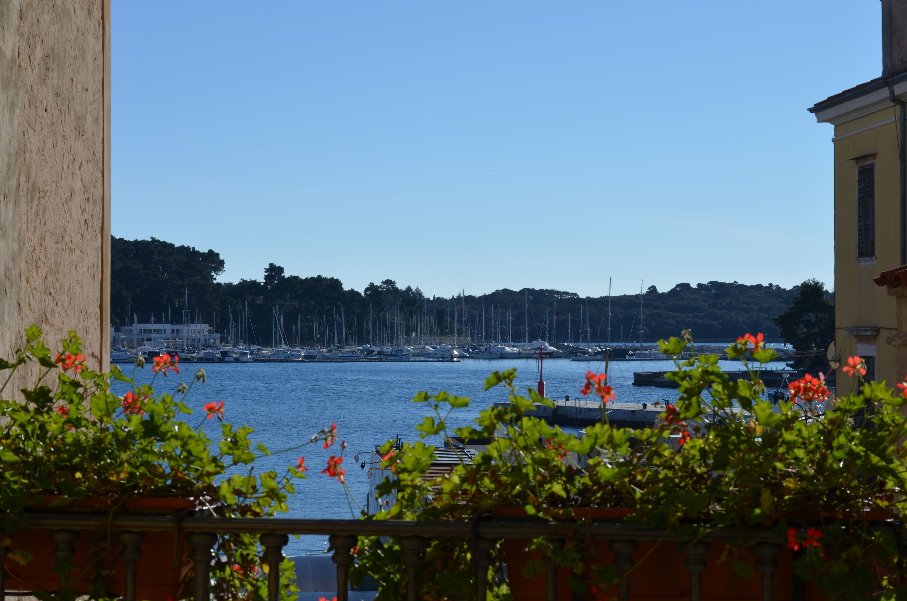A marina with boats docked, a clear sky, and greenery in the foreground.
