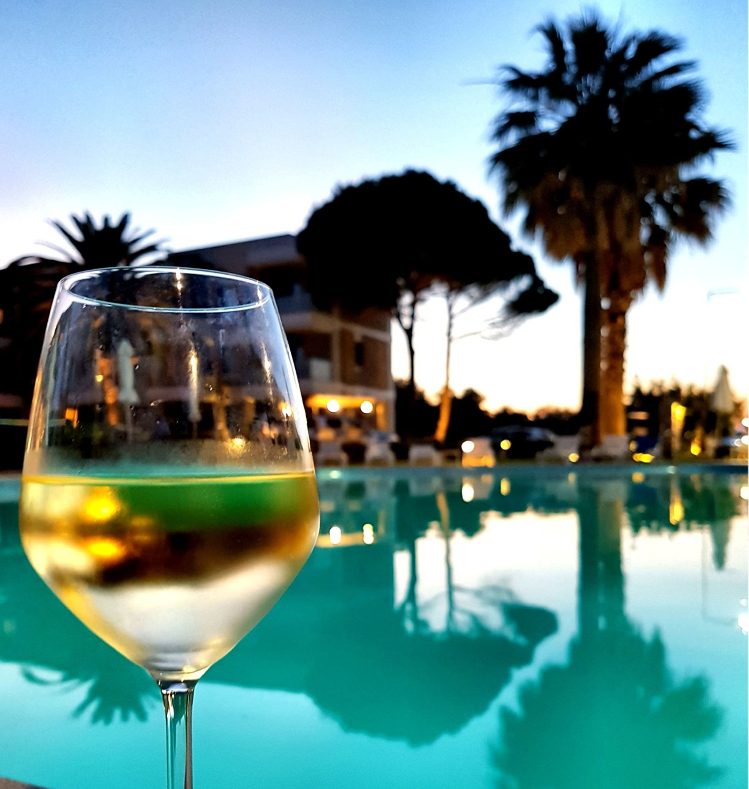 Una copa de vino blanco sobre una superficie reflectante, con una piscina y palmeras al fondo.