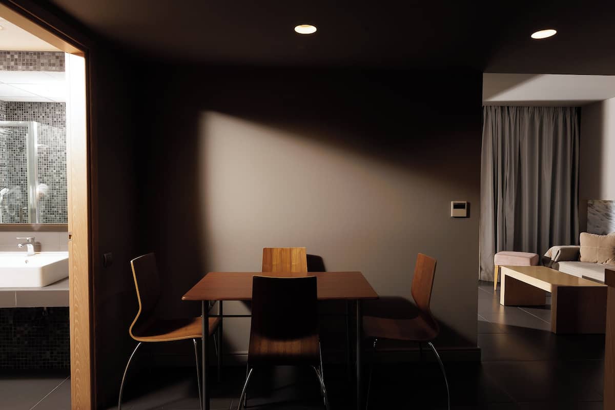 A modern room with a dining table, chairs, a sofa, and a bathroom with a shower.