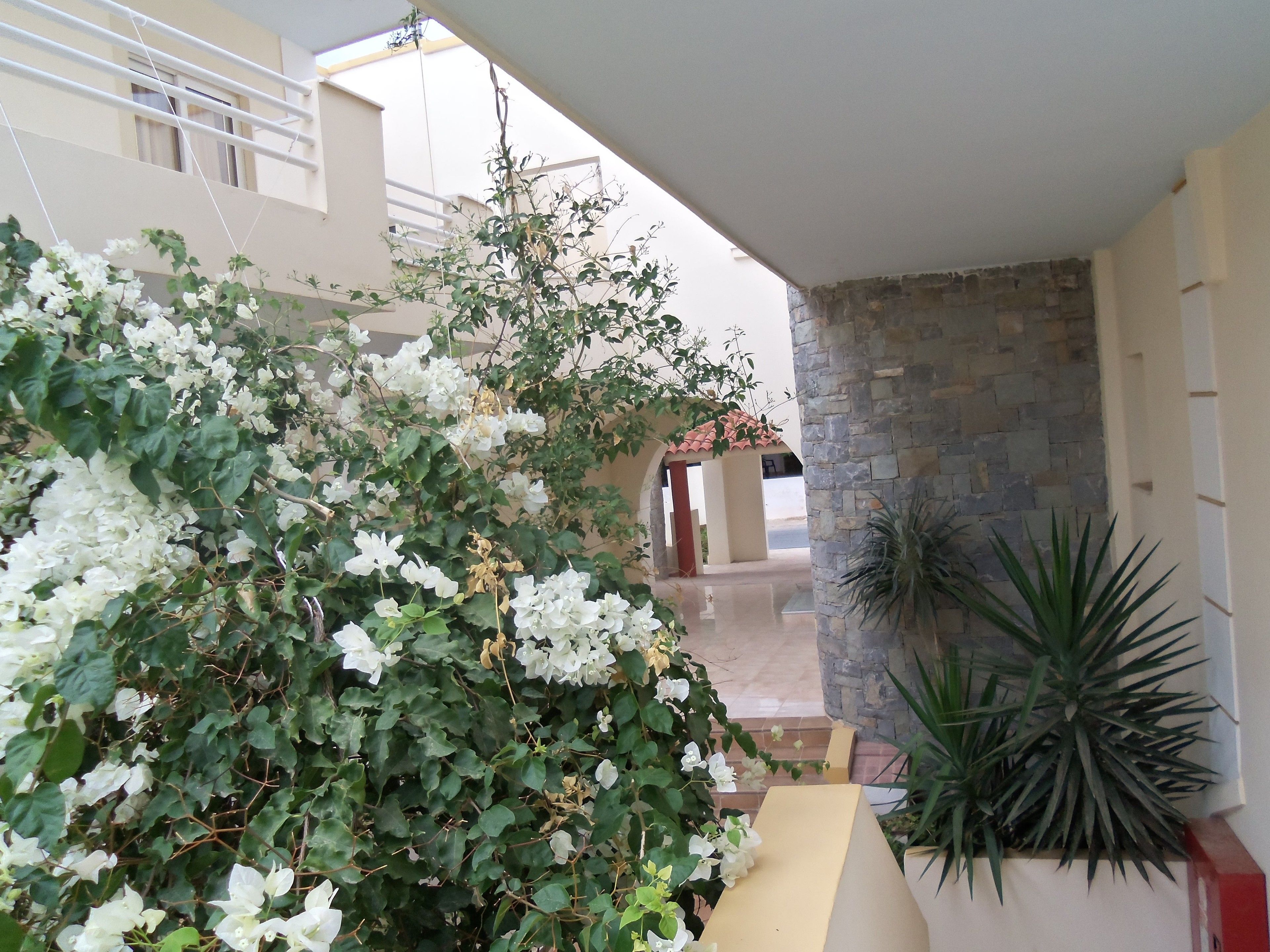 A covered outdoor area with a stone wall, a potted plant, and a view of a building entrance.