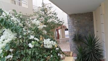 A covered outdoor area with a stone wall, a potted plant, and a view of a building entrance.