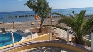 Un espace piscine avec vue sur la mer, entouré de palmiers et de chaises de plage.
