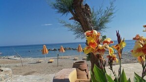 Un cadre idyllique au bord de la plage, avec un sentier en pierre, des parasols et des fleurs tropicales.